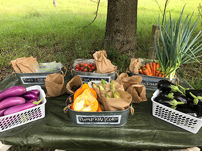 Farm Gate Stall